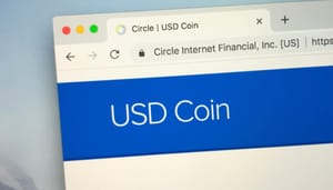 Shutterstock_1210542529 Polkadot zet grote crypto stap met komst populaire stablecoin USDC