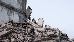 Shutterstock_2052837878 Hoe het meest omstreden Cardano project instortte