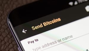 Shutterstock_763089208 Mega-belegger verplaatst na lange tijd 50 miljoen euro aan bitcoin