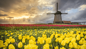 Nederlands crypto project pakt wereldwijde armoede aan Nederlands crypto project pakt wereldwijde armoede aan