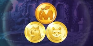 SHIB en DOGE vielen samen met de markt, maar er is een alternatief 