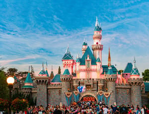 Disney lanceert crypto platform voor Apple en Android Disney lanceert crypto platform voor Apple en Android