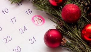 Crypto memecoin BONK bestaat 1 jaar_ dit moet je weten La criptomoneda memecoin BONK cumple 1 año: esto es lo que debes saber
