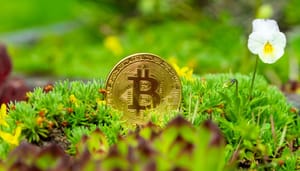 bitcoin-duurzaam duurzaam-bitcoin-BTC-ESG-ETF