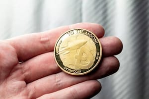 borroe Dogecoin en BorroeFinance: Memecoin versus DeFi