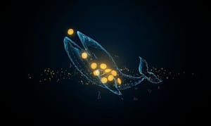 Borroe Enorme Bitcoin-beweging, stijgende interesse in AI-crypto van top whales