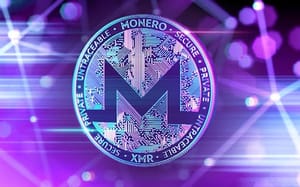 borroe Monero en Borroe Finance komen naar voren als belangrijke spelers
