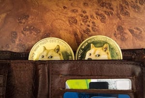 borroe Welke kleine altcoin heeft het groeipotentieel voor 2024?