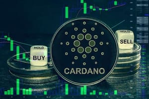 borroe 2024: Een belangrijk jaar voor Cardano & Borroe Finance?