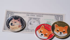 Een van grootste crypto-ontwikkelaars ooit deelt mening over memecoins Een van grootste crypto-ontwikkelaars ooit deelt mening over memecoins