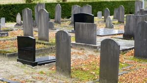 Schrikbarend veel crypto-projecten uit 2020/2021 zijn 'dood' verklaard