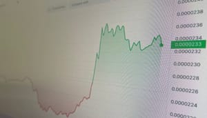 shiba-inu-koers-stijgt-coinmarketcap-13-5 Shiba inu handelsvolume explodeert na goed nieuws, koers in de plus