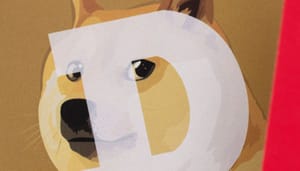 dogecoin-doge-memecoin-crypto Dit zijn meest winstgevende crypto in 2024