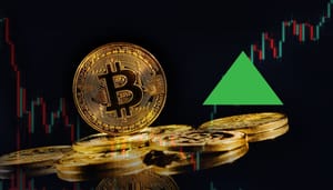 Duitsland koopt $111 miljoen aan bitcoin terug van cryptobeurzen