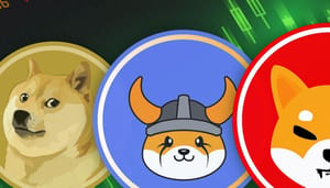 shiba-inu-shib-dogecoin-floki Hype memecoins als shiba inu zullen 'onvermijdelijk eindigen'