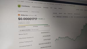 why-is-shiba-inu-price-up-today
