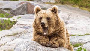 Bitcoin verpulvert bears: ruim $100 miljoen aan shorts weggevaagd Bitcoin verpulvert bears: ruim $100 miljoen aan shorts weggevaagd