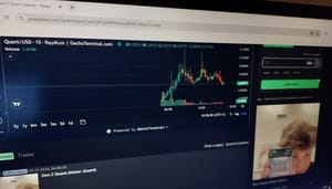 13 jarige crypto rugpull 13-jarig cryptoventje wil traders oplichten, wordt keihard afgestraft