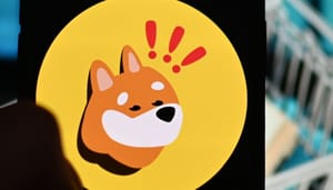 bonk-memecoin-solana Solana memecoin BONK stijgt na belangrijk Binance nieuws