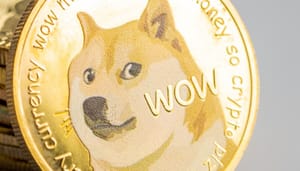 Analista: "Dogecoin muestra señales de una posible subida del 1000%"