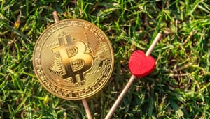 21 bitcoin verlovingsring Nederlander gaf stilletjes 21 bitcoin uit aan verlovingsring