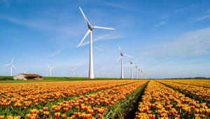 windturbine-tulpen Tulpen met op de achtergrond windturbines