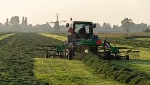Cryptoboer verliest half miljoen euro_ _Te mooi om waar te zijn_ Cryptoboer verliest half miljoen euro: "Te mooi om waar te zijn"