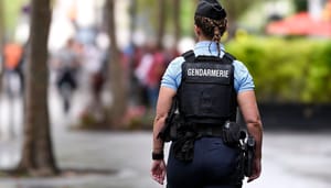 Politieagent Meer dan 20 arrestaties na crypto-ontvoeringen in Frankrijk: ‘Wees op je hoede’