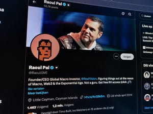 Een afbeelding van het X-account van Raoul Pal Een afbeelding van het X-account van Raoul Pal