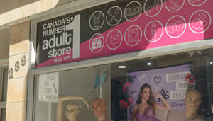 Een afbeelding van een adult store waar o.a. lingerie en seksspeeltjes te koop zijn Een afbeelding van een adult store waar o.a. lingerie en seksspeeltjes te koop zijn