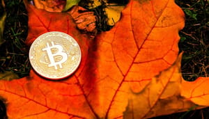 Shutterstock_1503194822 Gaat bitcoin dalen in oktober? Dit zeggen de grafieken en analisten