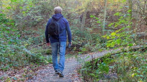 Een afbeelding van een man die een wandelpad door een bos aflegt in Zuid Limburg, Nederland Een afbeelding van een man die een wandelpad door een bos aflegt in Zuid Limburg, Nederland