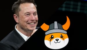 Elon Musk en Floki Memecoins slaan op hol na filmpje van Elon Musk: ‘Ik ben grappig’