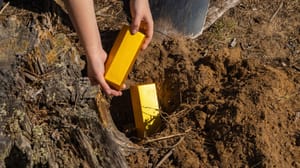 Een afbeelding van een persoon die goudstaven begraaft op opgraaft uit een tuin Een afbeelding van een persoon die goudstaven begraaft op opgraaft uit een tuin