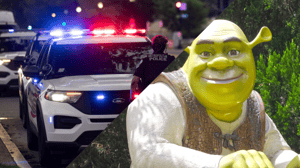 split-image (22) ‘Shrek’ blijkt spil in cryptozaak: politie ontdekt miljoenenfraude