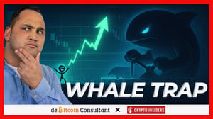 maxresdefault Waarom de angst voor een Bitcoin crash naar $20.000 onterecht is