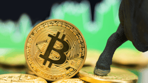 Bitcoin bullmarkt Bitcoin bullmarkt