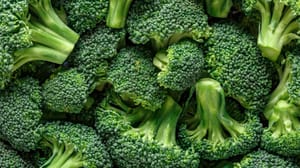 Een afbeelding van brocolli
