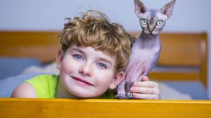 Shutterstock_1635085924 Nieuw jaar, vreemde wetten: dit mag en kan ineens niet meer
