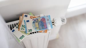 energie-euros-nederlanders Zoveel geld besparen Nederlanders door de verwarming lager te zetten
