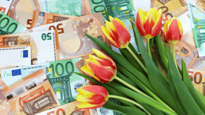 Tulpen en eurobiljetten Tulpen en eurobiljetten