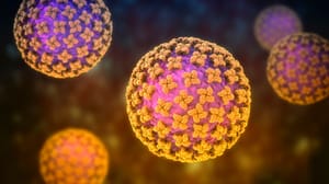 Afbeelding van het Hantavirus Afbeelding van het Hantavirus
