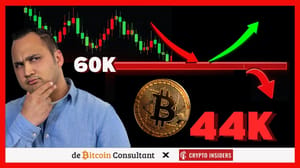John van Meer: 'Bitcoin bodem nog niet in zicht, ik reken op $44.000'