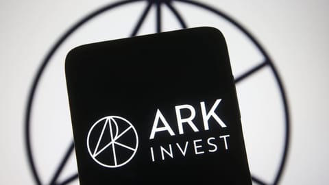 CEO ARK Invest: 'SpaceX wordt het belangrijkste bedrijf ooit'