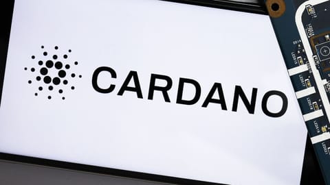 Cardano activeert grote update ter ere van Nederlander
