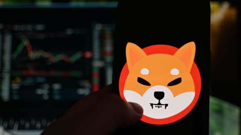 Cryptomunt Shiba Inu zakt 60 procent maar AI ziet kans op herstel