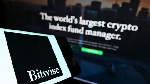 Crypto-topman: 'deze twee investeringen zijn klaar voor de bullmarkt'