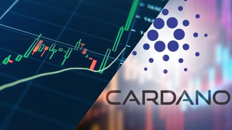 Cardano schiet 23% omhoog naar hoogste koers in maanden