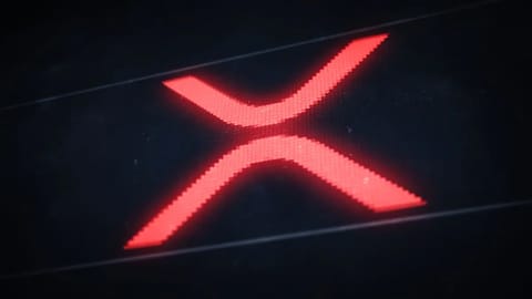 XRP-beursfondsen verliezen 93%, maar whales slaan toe