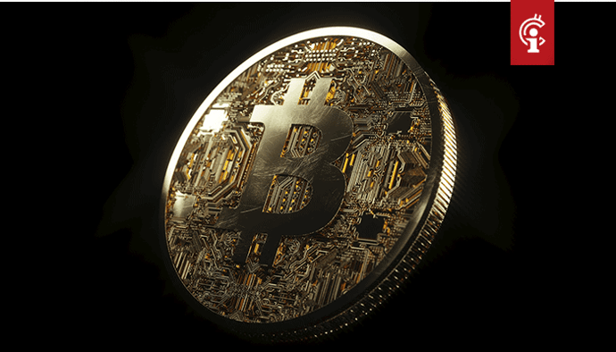 "Bitcoin (BTC)-investeerders moeten naar lange termijn kijken", aldus Mark Yusko